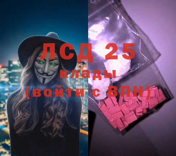 2c-b Бородино